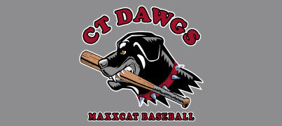 CT Dawgs Baseball