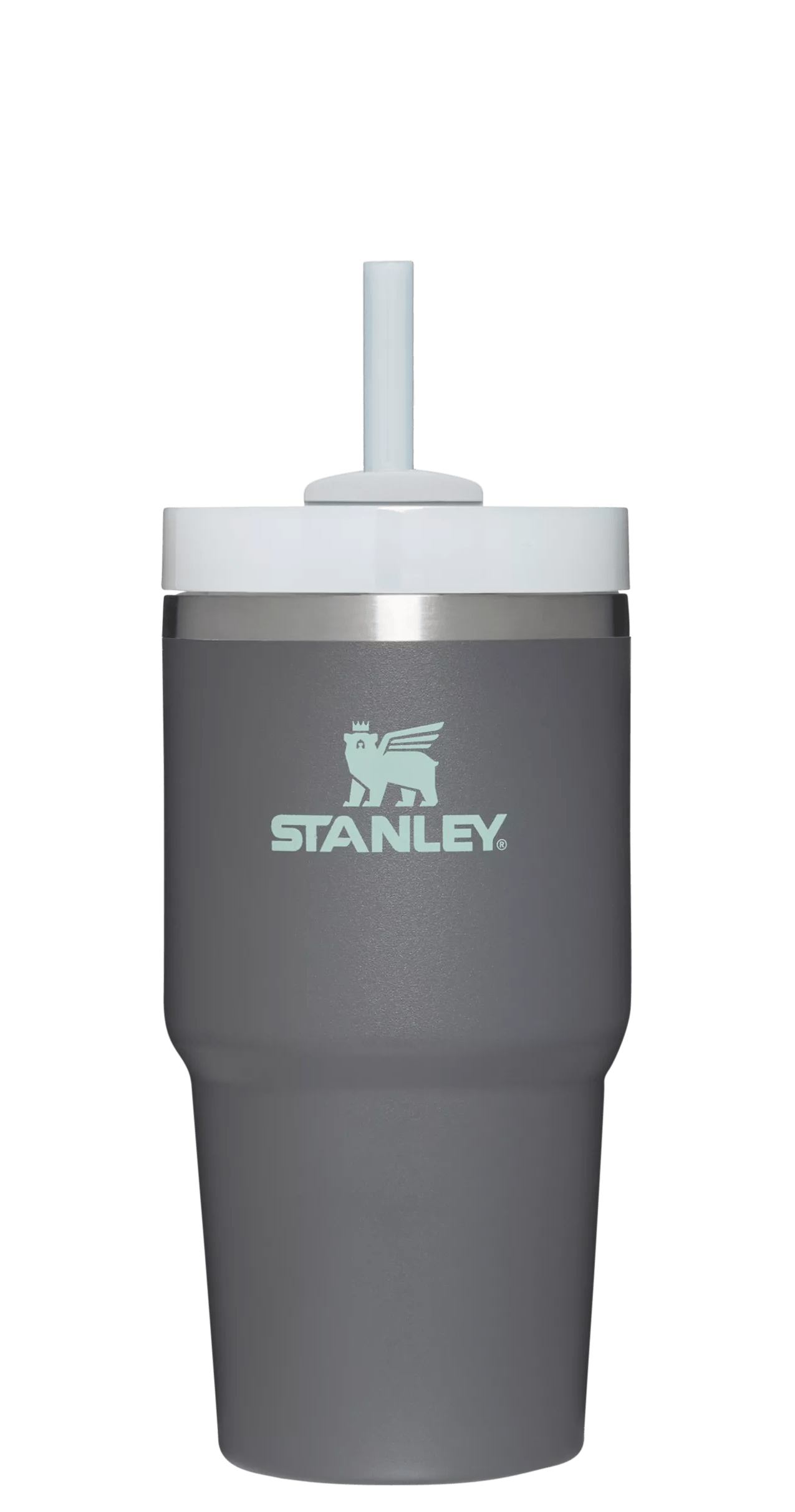 Stanley The Quencher H2.0 Flowstate Tumbler 20 oz Hydration Stanley Charcoal