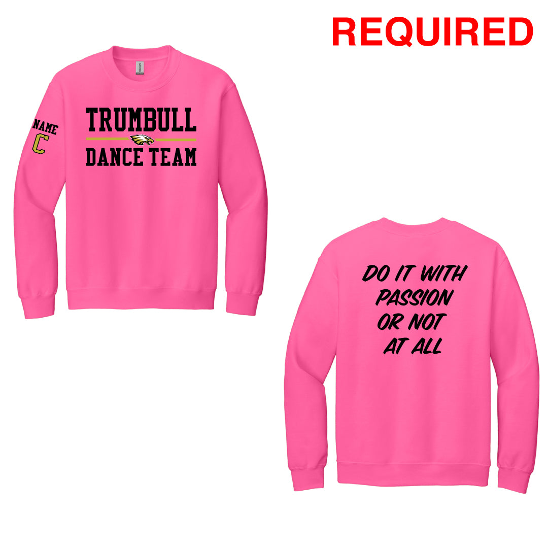 Trumbull Dance PINK Crewneck Sweatshirt Logowear ASF Sports & Outdoors Small