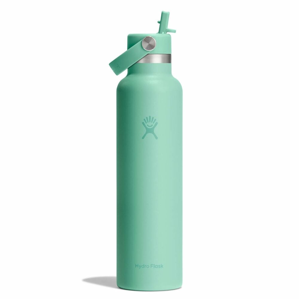 Hydro Flask 24 oz Standard Mouth with Flex Straw Cap Accessories Hydro Flask Mermaid Green