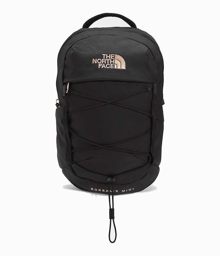 The North Face Borealis Mini Backpack Accessories North Face TNF Black Heather/Burnt Coral Metallic-WBW  