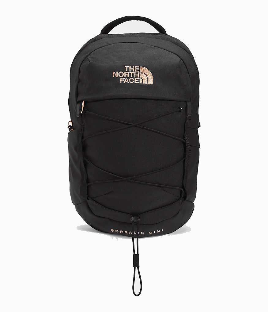 The North Face Borealis Mini Backpack The North Face Borealis Mini Backpack